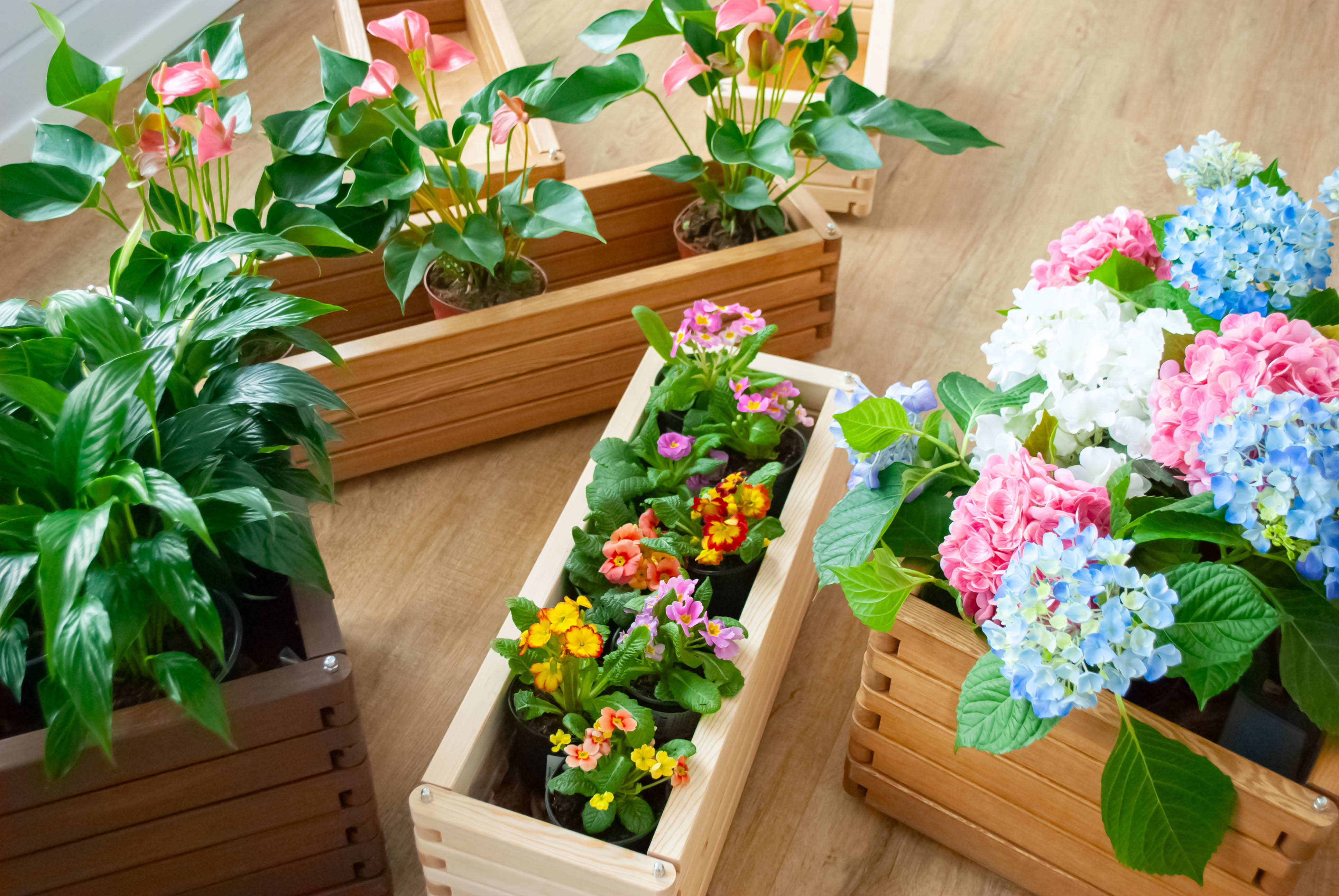 Деревянные кашпо Волома с растениями — преимущества: быстрое изготовление, колёсики в комплекте, разборная конструкция